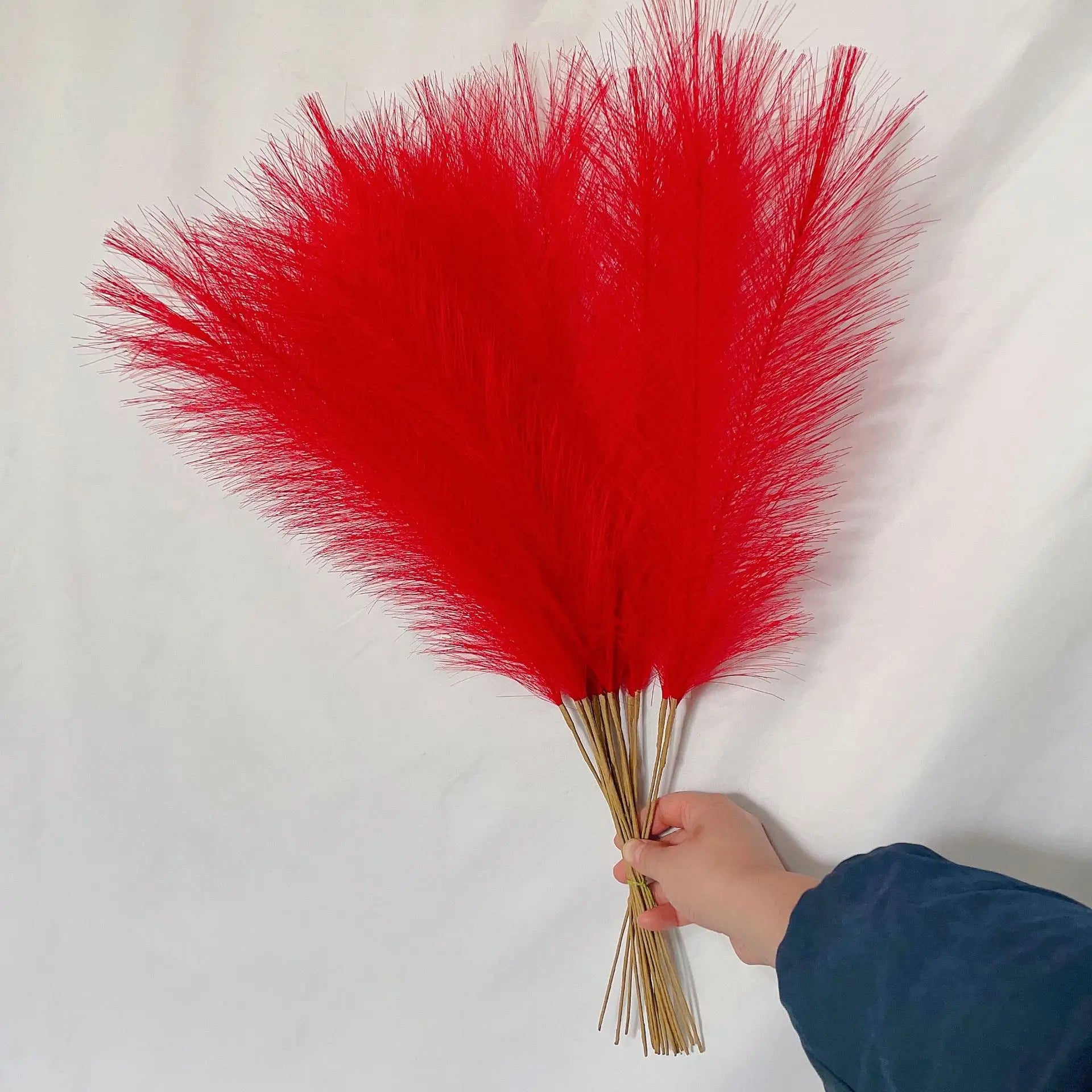 LushPlume – Fluffy Pampas Grass for Chic Boho Décor & Elegant Styling (10 pcs)