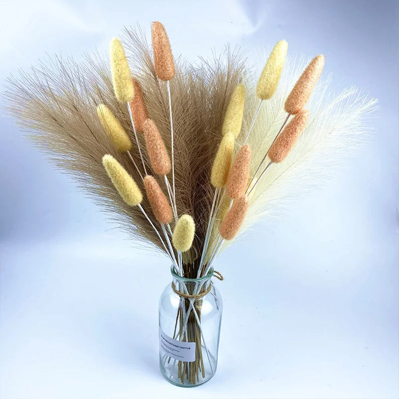 LushPlume – Fluffy Pampas Grass for Chic Boho Décor & Elegant Styling (10 pcs)