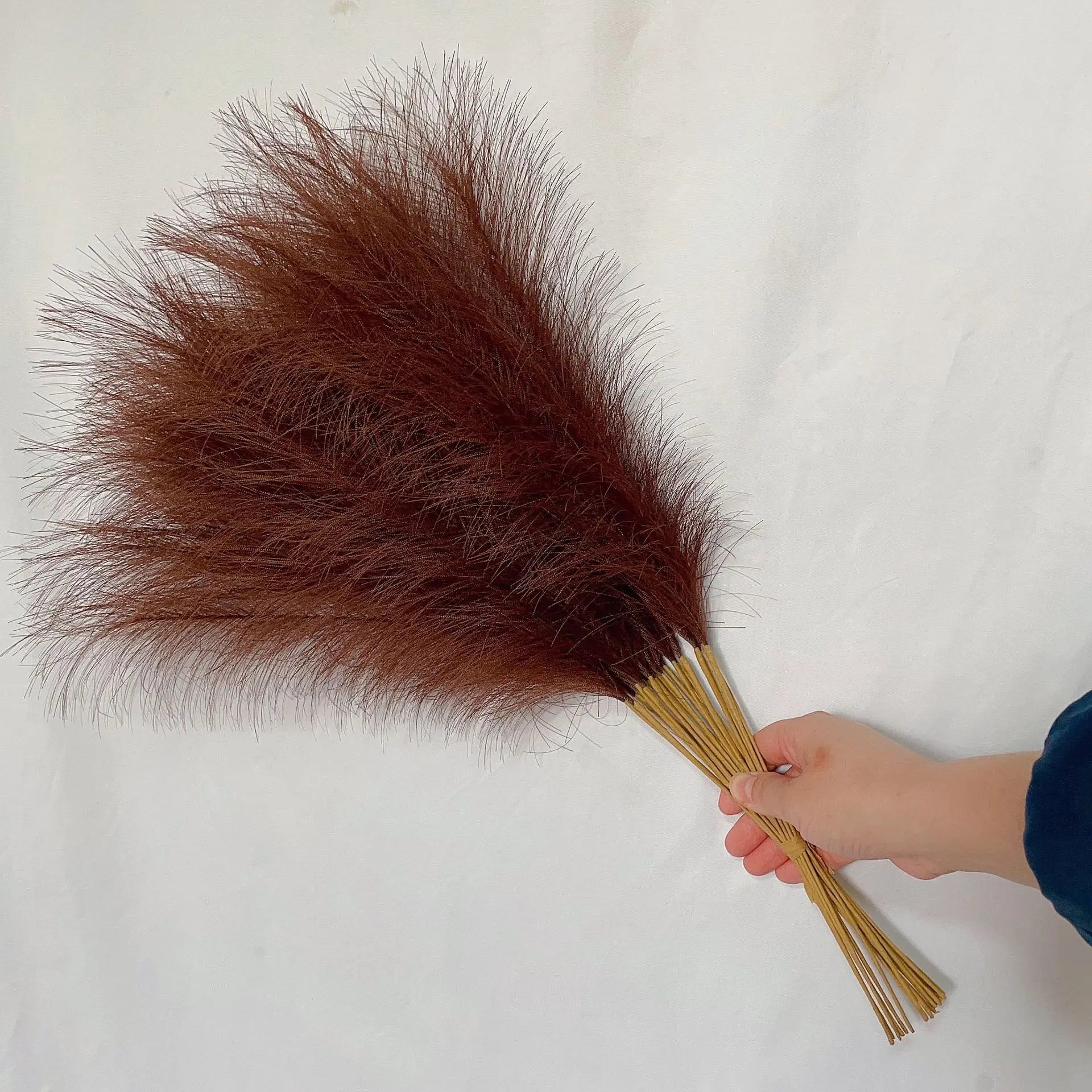 LushPlume – Fluffy Pampas Grass for Chic Boho Décor & Elegant Styling (10 pcs)