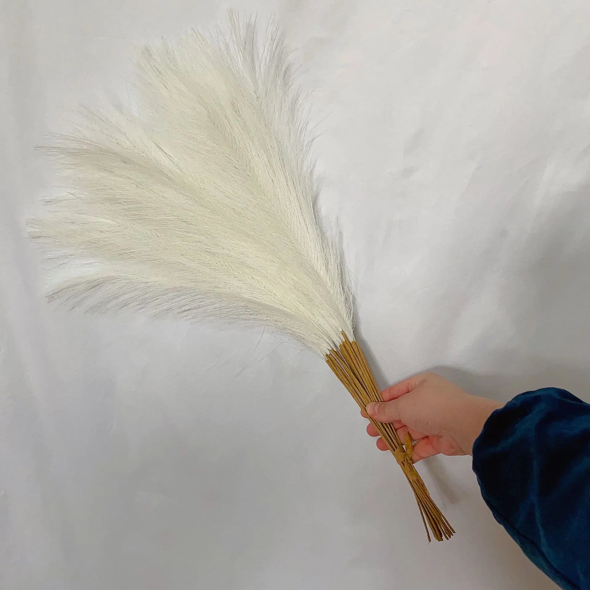 LushPlume – Fluffy Pampas Grass for Chic Boho Décor & Elegant Styling (10 pcs)