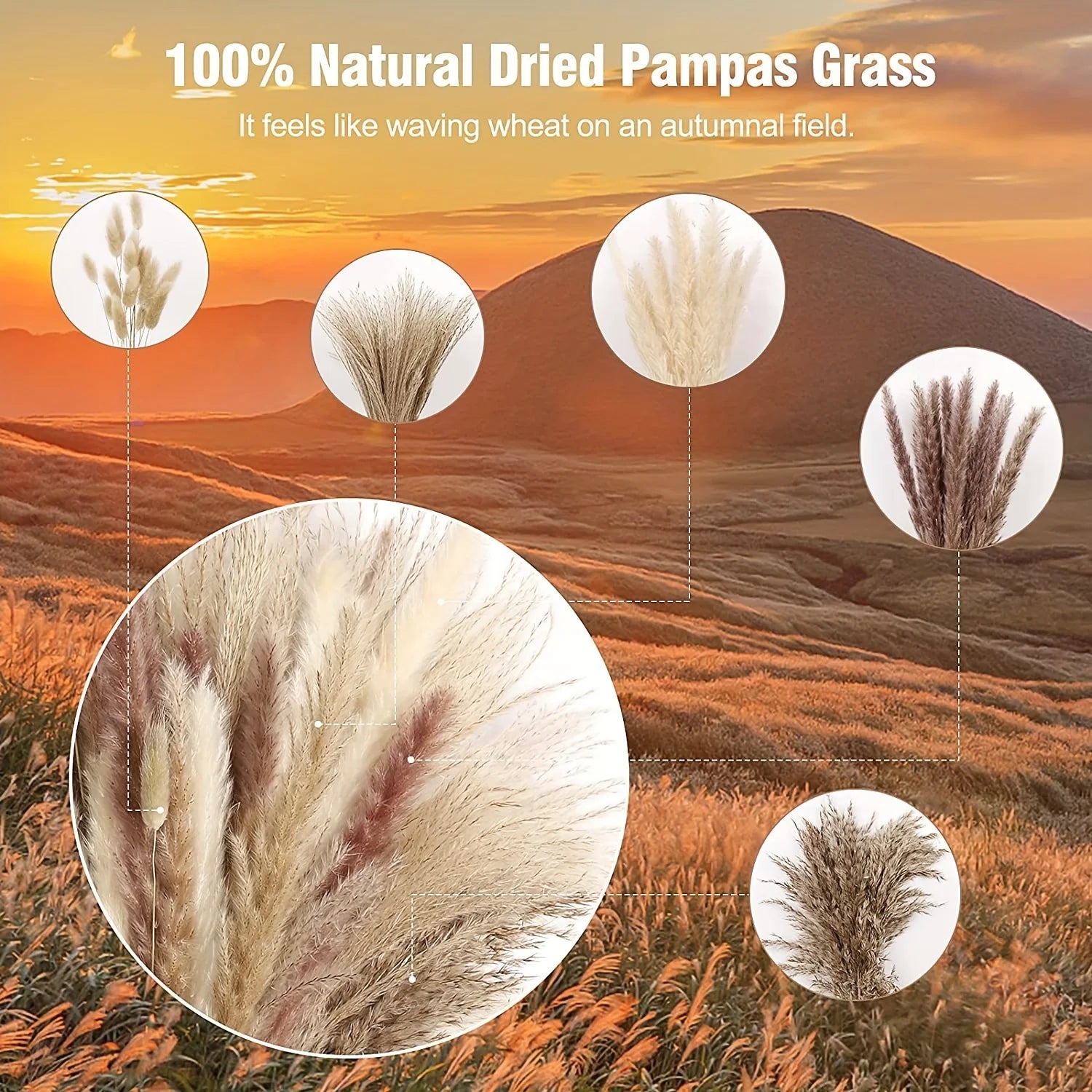 🍂 Feathered Elegance - Natural Handcrafted Dried Bouquet of Pampas, Reed & Rabbit Tail Grass