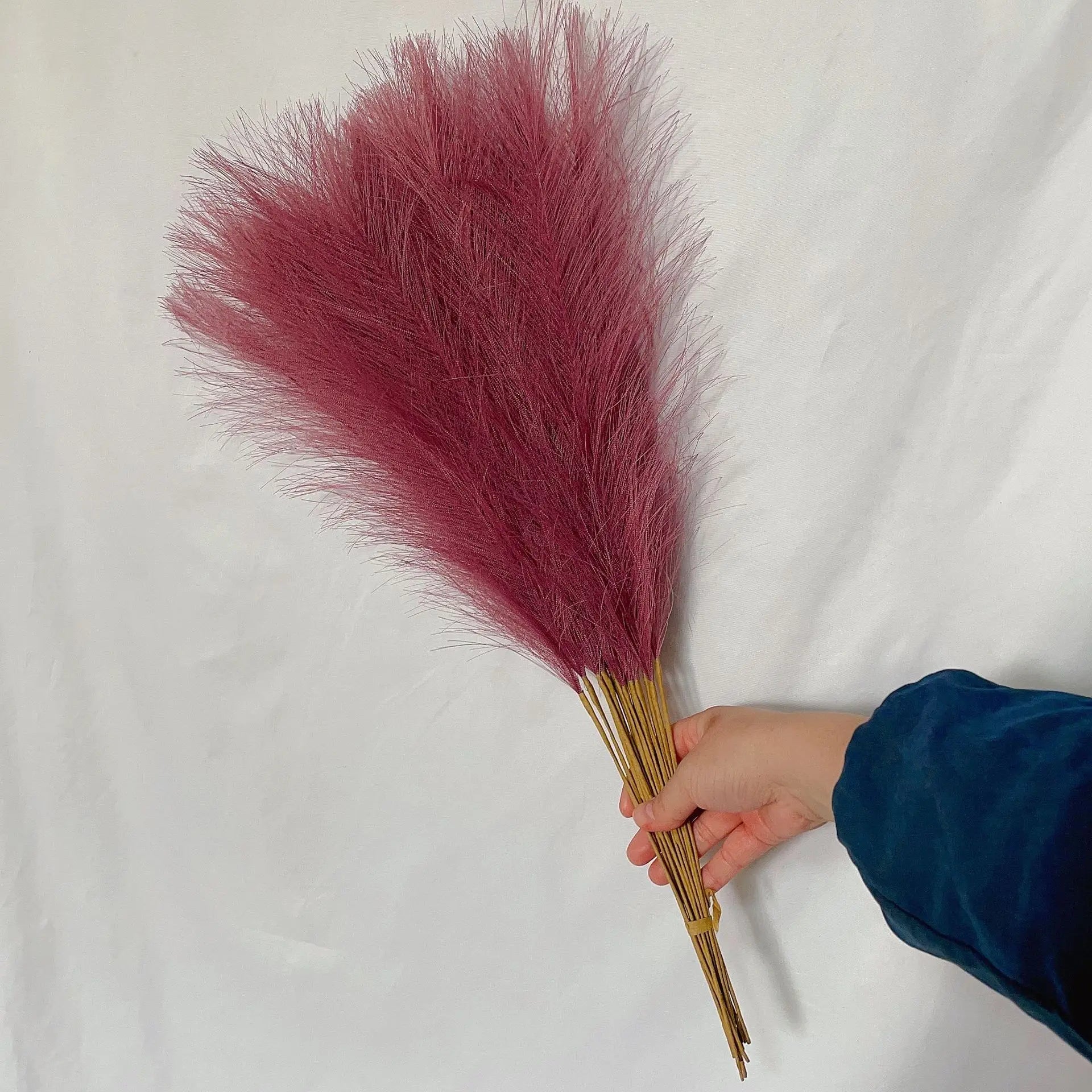 LushPlume – Fluffy Pampas Grass for Chic Boho Décor & Elegant Styling (10 pcs)