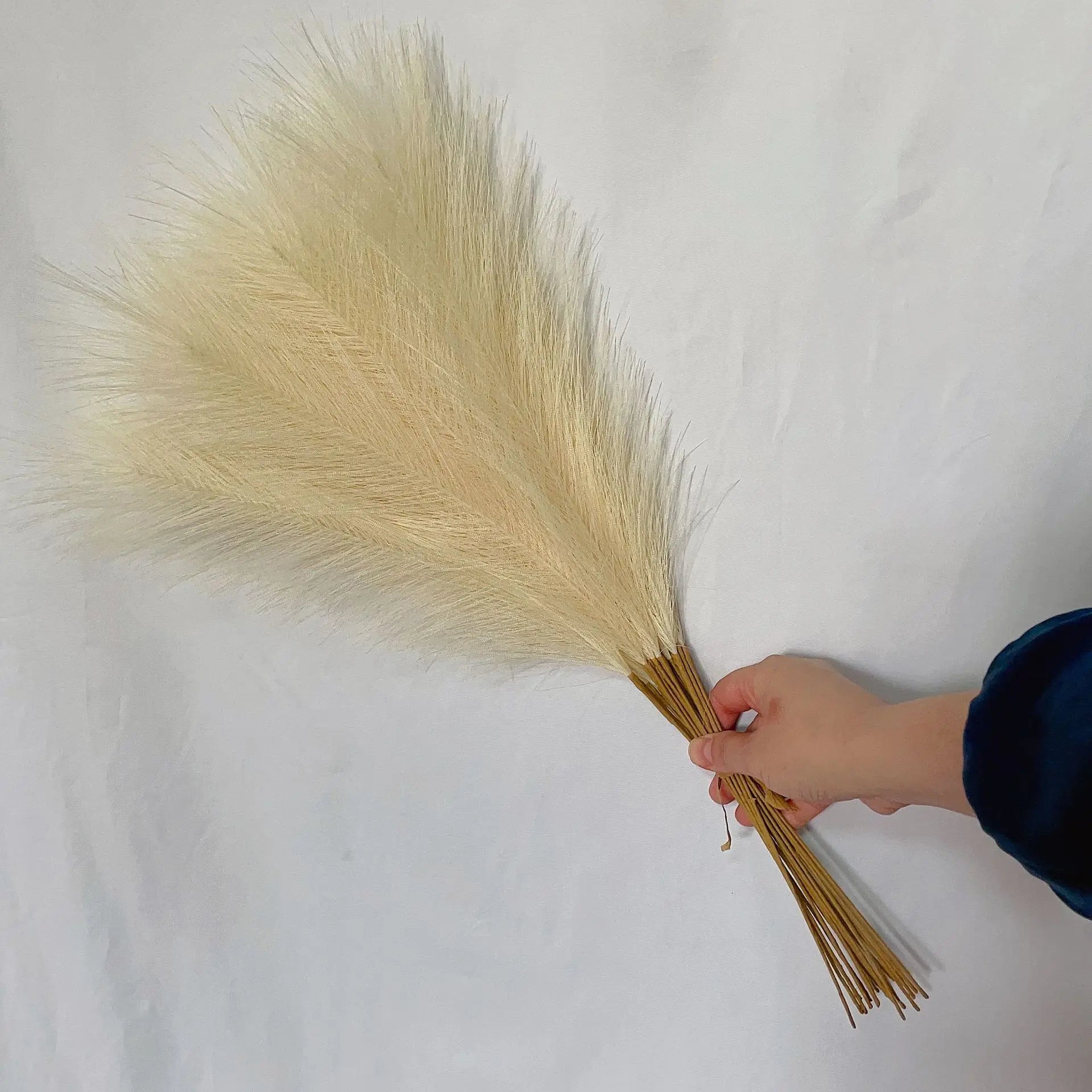 LushPlume – Fluffy Pampas Grass for Chic Boho Décor & Elegant Styling (10 pcs)