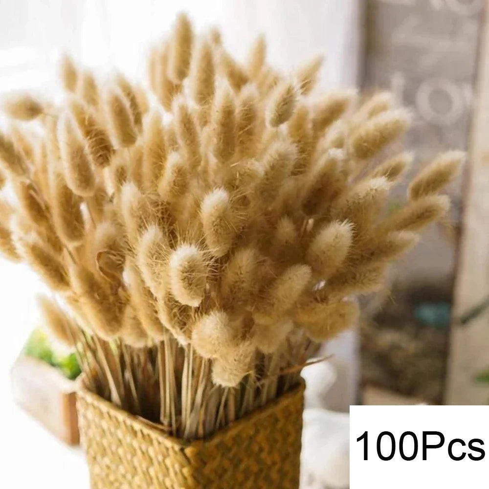🪶 Golden Rabbit - Natural Handcrafted Dried Bouquet of Pampas, Reed & Rabbit Tail Grass